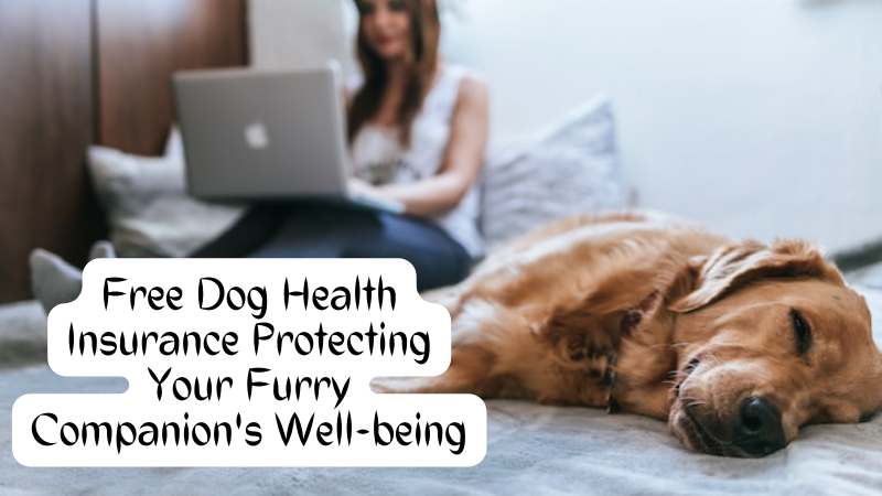 Dog Health Insurance