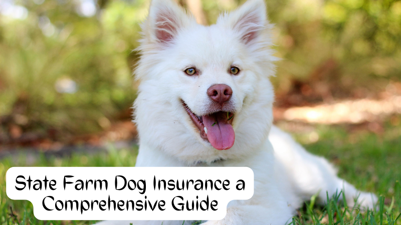 State Farm Dog Insurance