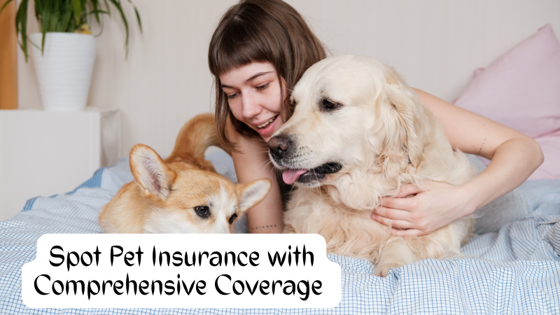 Spot Pet Insurance with Comprehensive Coverage